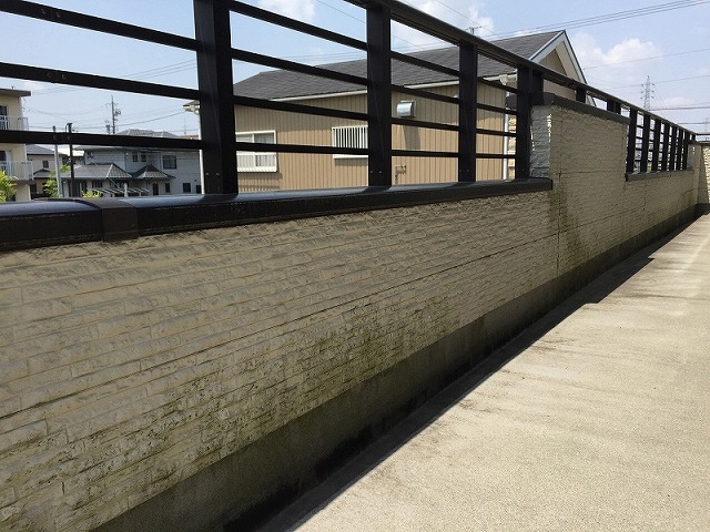 ベランダ手すり側の立ち上がり壁に苔・カビ